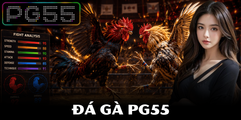 Đá Gà PG55 – Phương Pháp Đánh Giá Sức Mạnh Chiến Kê Chuẩn 1 Đá Gà PG55 – Phương Pháp Đánh Giá Sức Mạnh Chiến Kê Chuẩn