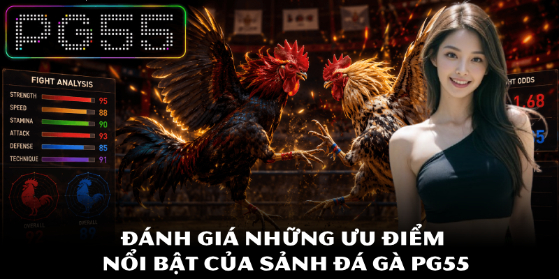 Đá Gà PG55 – Phương Pháp Đánh Giá Sức Mạnh Chiến Kê Chuẩn 2 Đánh giá những ưu điểm nổi bật của sảnh đá gà PG55