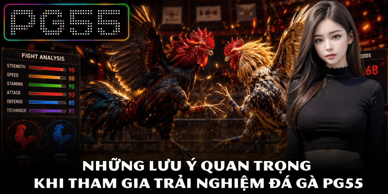 Đá Gà PG55 – Phương Pháp Đánh Giá Sức Mạnh Chiến Kê Chuẩn 4 Những lưu ý quan trọng khi tham gia trải nghiệm đá gà PG55